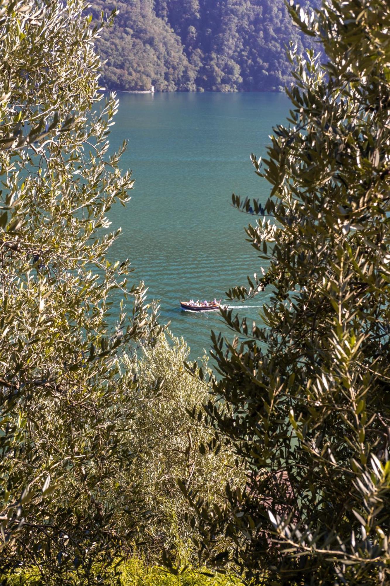 Apartment 5* Gandria - Antico Approdo *